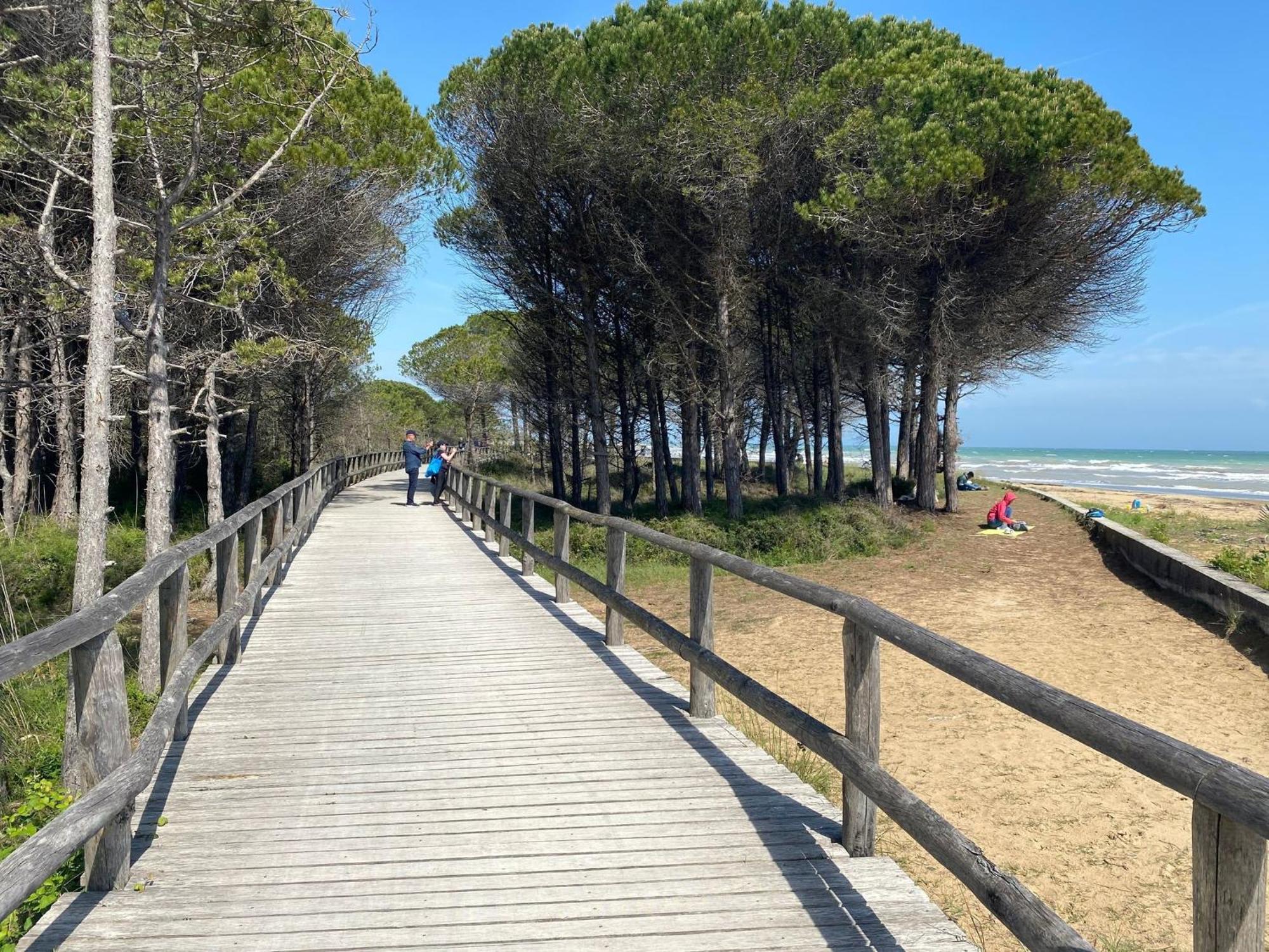 Beautiful Apartment Close To Bibione Beach - Beahost Exterior foto